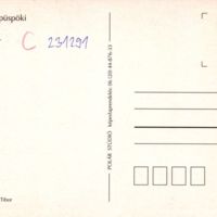 KP335_b.jpg
