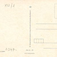 V1047_b.jpg
