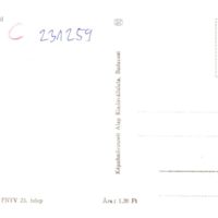 KP303_b.jpg
