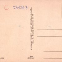 KP387_b.jpg