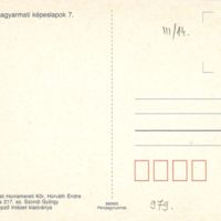 V979_b.jpg