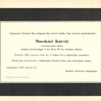 Macskási Károly.jpg