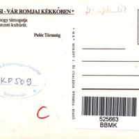KP509_b.jpg