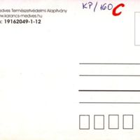 KP160_b.jpg