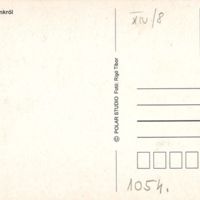V1054_b.jpg