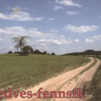 KP159.jpg