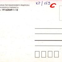 KP159_b.jpg