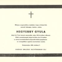 Hegyessy Gyula.jpg