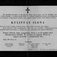Kuliffay Ilona.jpg