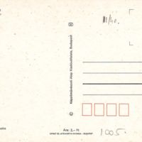 V1005_b.jpg