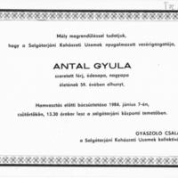 Antal Gyula.jpg