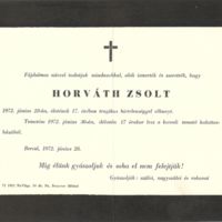 Horváth Zsolt.jpg