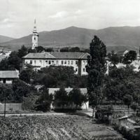 PM1372.jpg