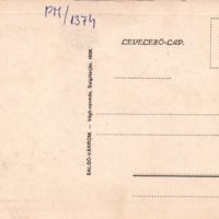 PM1374_b.jpg