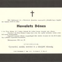 Havaletz Dénes.jpg