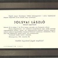 Jolsvai László 1.jpg