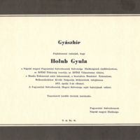 Holub Gyula 02.jpg