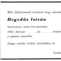 Hegedűs István.jpg