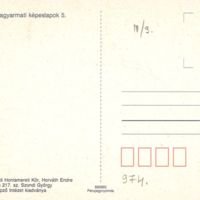 V974_b.jpg